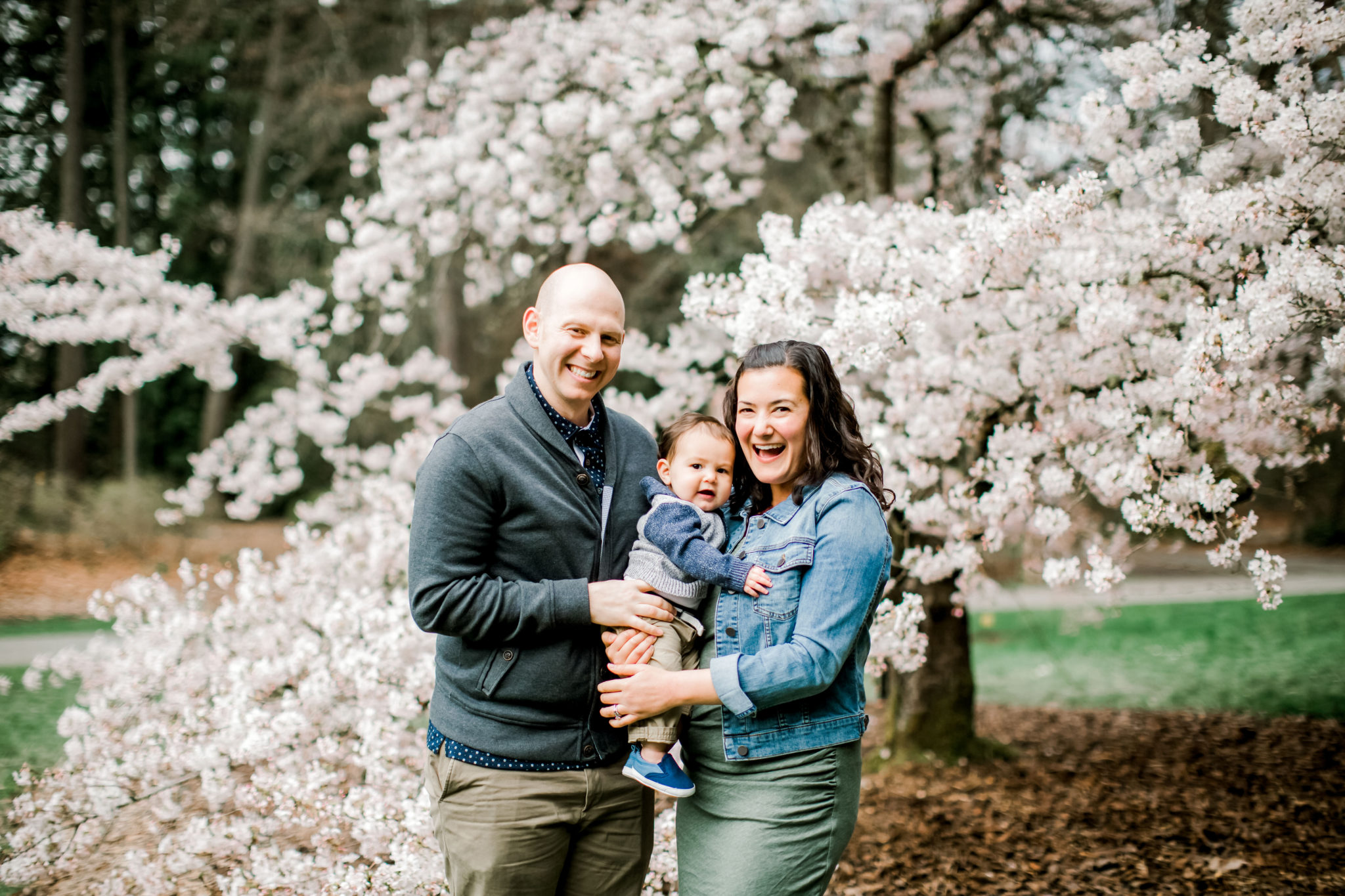 seattle cherry blossom minis family photography baby