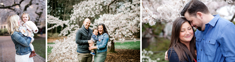 seattle cherry blossoms