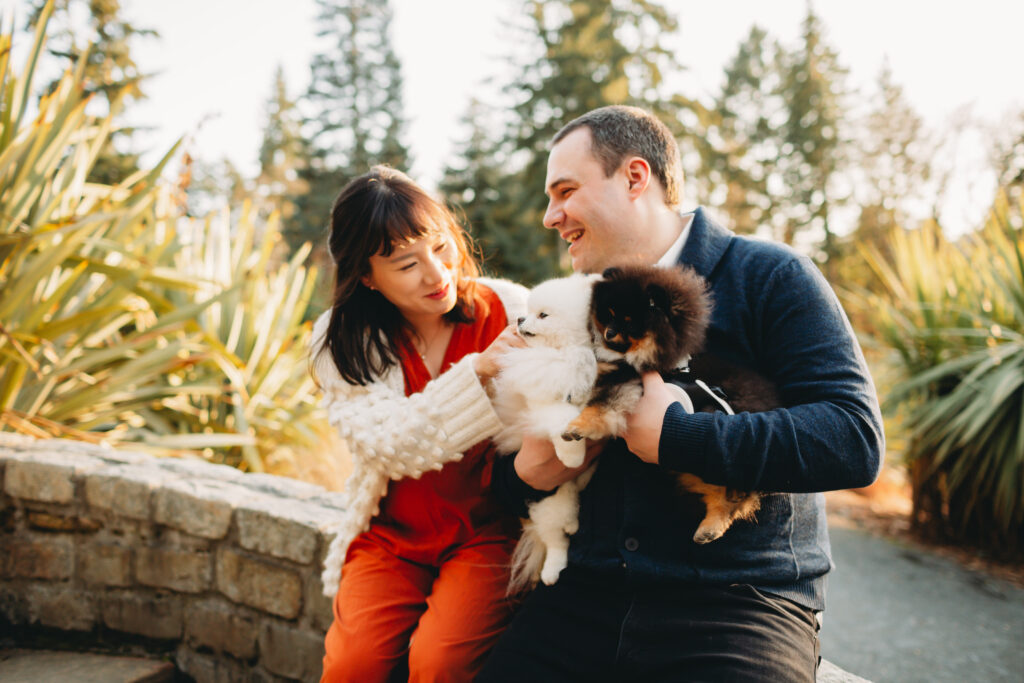 maternity session seattle with dogs