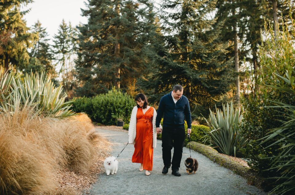 Seattle Sunset Maternity Session with Dogs!