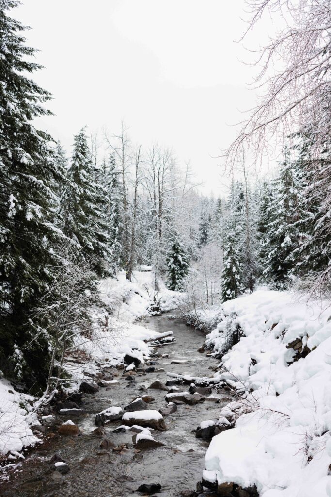 Snoqualmie Pass snow photo session, winter photography, family photographer, new years cards